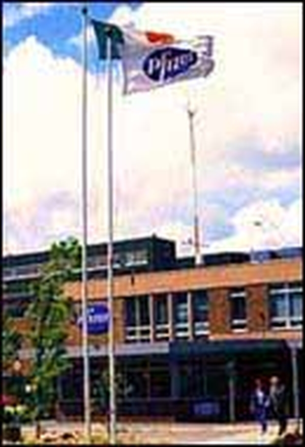 Pfizer - Employs 2000 in Ireland