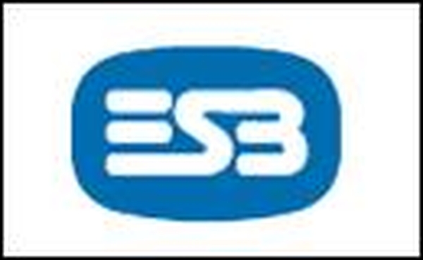 ESB - More power stations needed