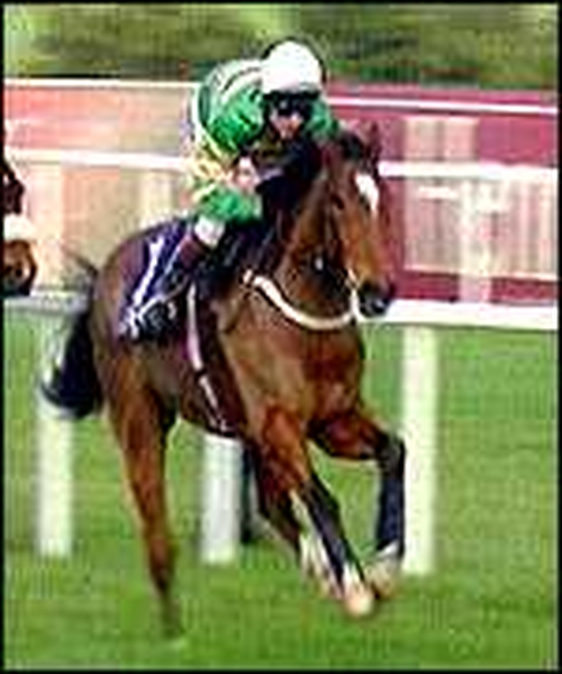 Paddy Power - 2003 results back on track