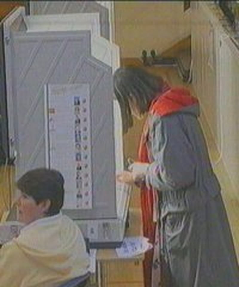 Electronic voting - Cost of scheme criticised -