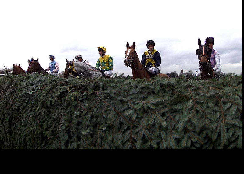 Aintree hosts the Becher Chase on Sunday, where Bewley's Berry is favoured to go well for trainer Howard Johnson