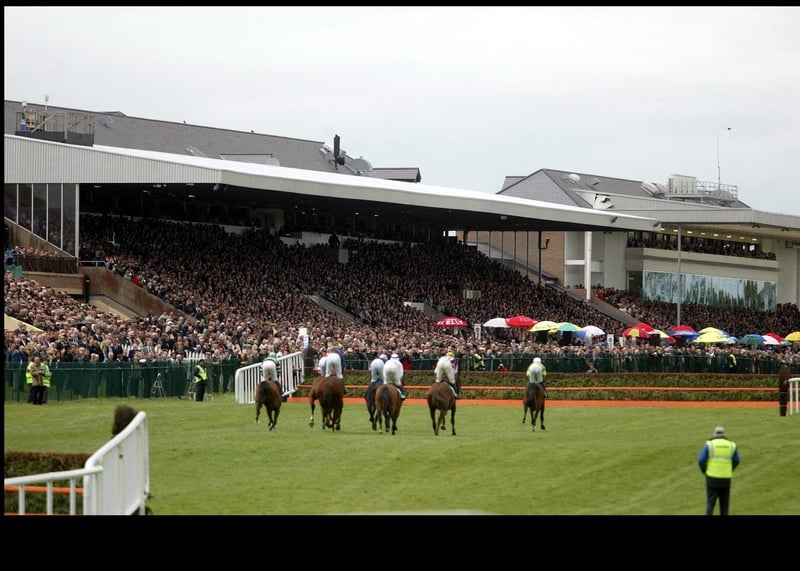 Attendances at the Punchestown Festival continue to grow