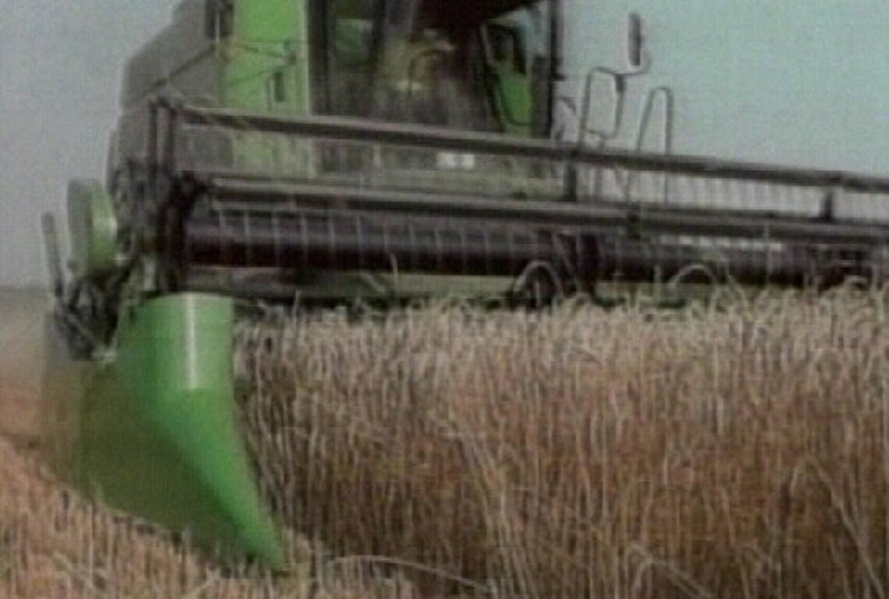 GM crops - Irish opinion document