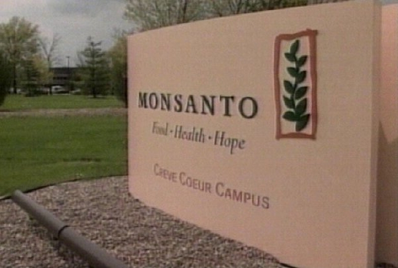 Monsanto - Introduction of GM wheat suspended