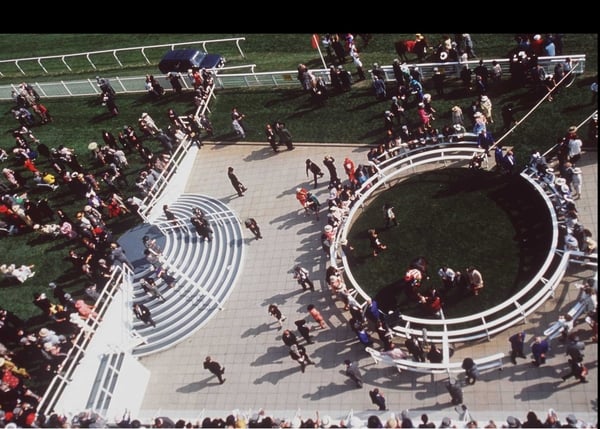 Which horse will be entering the winners enclosure shortly after 4.00pm on Saturday?