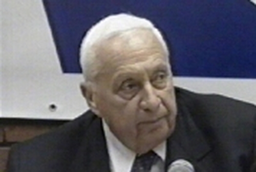 Ariel Sharon       In coma after stroke