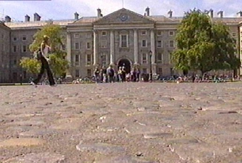 Trinity College Dublin - Autism research