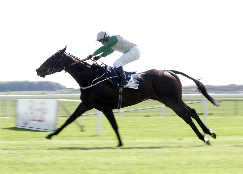 Paddy Power AGM - Confident for the year ahead -