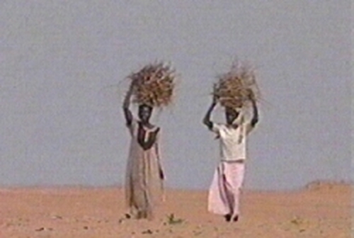 Darfur region - New peace talks