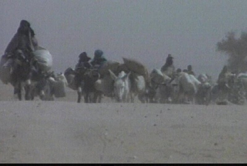 Darfur - Militias still armed