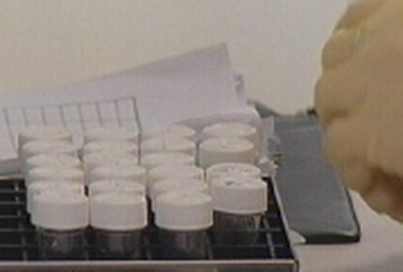 Third level - 'Invest more' call