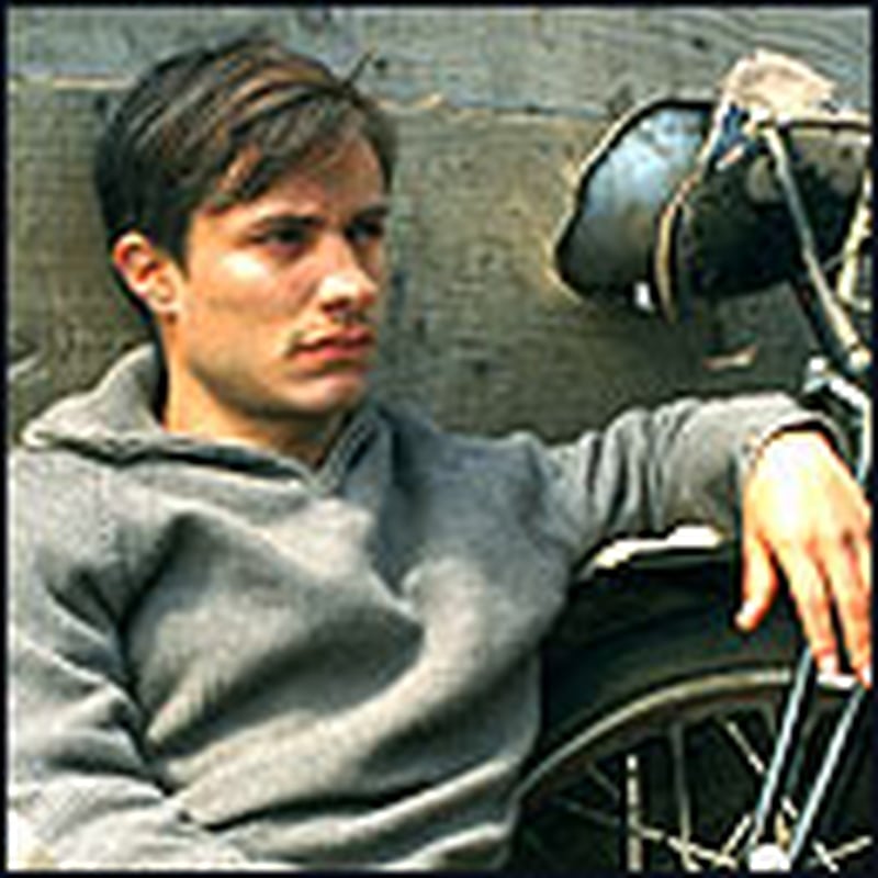 Plenty to feast the eyes on