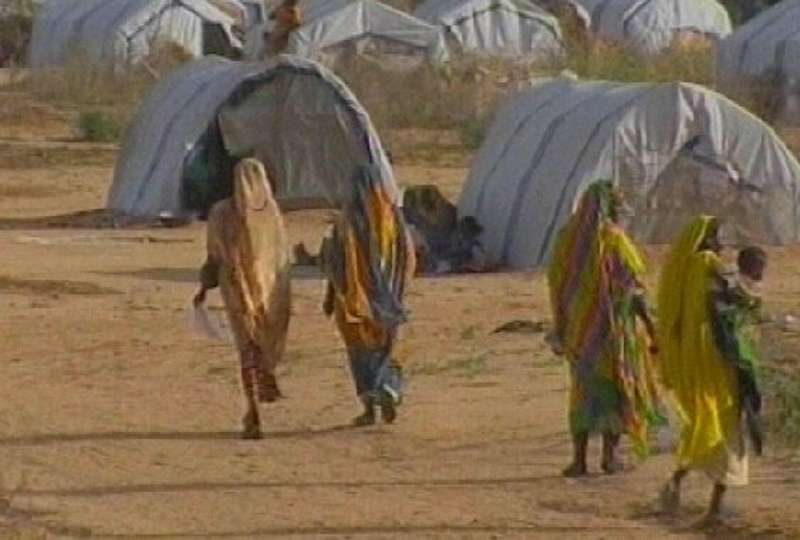 Darfur - UN calls for investigation