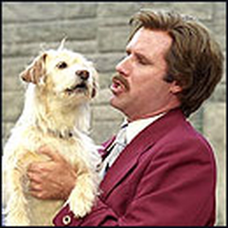 Funny in small doses