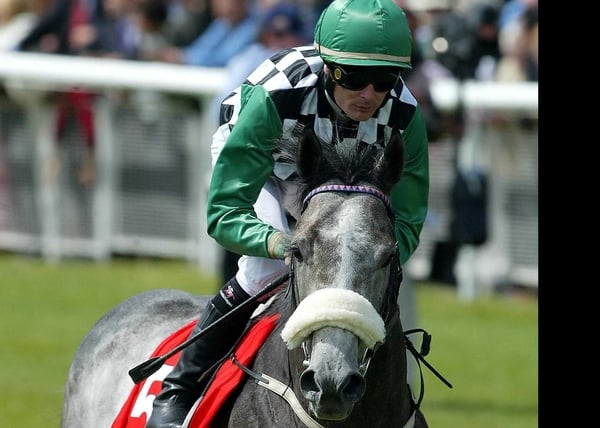 Grey Swallow could be in action on both sides of the Atlantic this term
