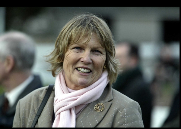 Curtain Call was trained by Jessica Harrington as a juvenile