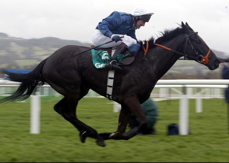 Back In Front headlines Punchestown weekend action