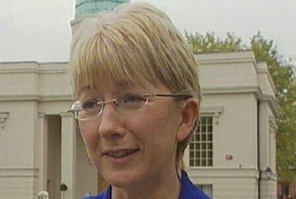 Mary Hanafin - Critical of website
