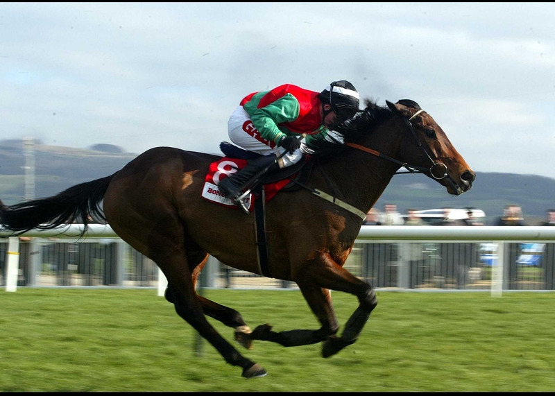 Limestone Lad, with Paul Carberry on board, on his way to finishing third in the 2003 Stayers' Hurdle at Cheltenham