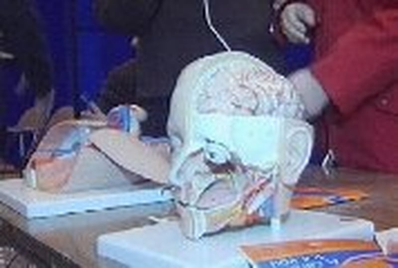 Leaving Cert science - Government 'dragging feet' claim