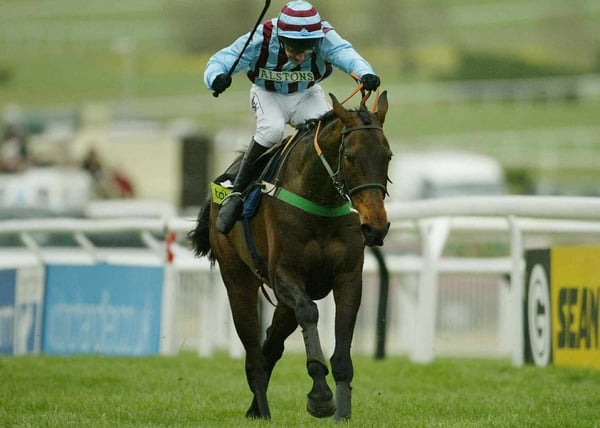 Best Mate: may need the run first time out