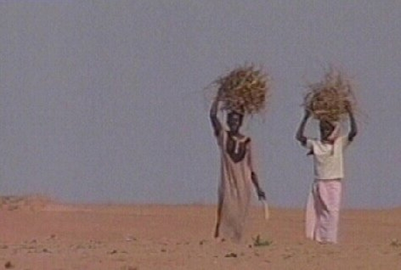 Darfur - Pledge to end crisis