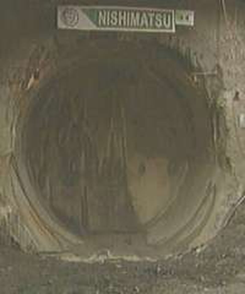 Port Tunnel - Reports of property damage