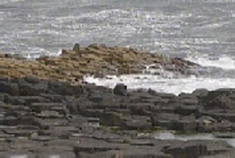 Giant's Causeway - NI tourist figures up