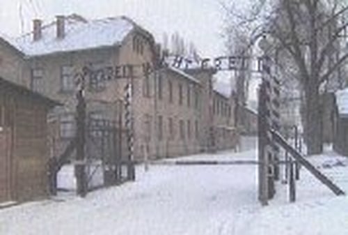 Auschwitz - 60 years since camp's liberation