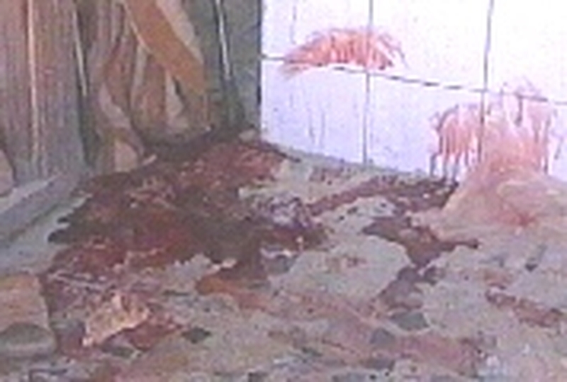 Baghdad - Nine die in attack on bakery