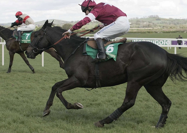 War of Attrition will be battling Rathgar Beau all the way to the finishing line in the Clonmel Oil Chase on Thursday