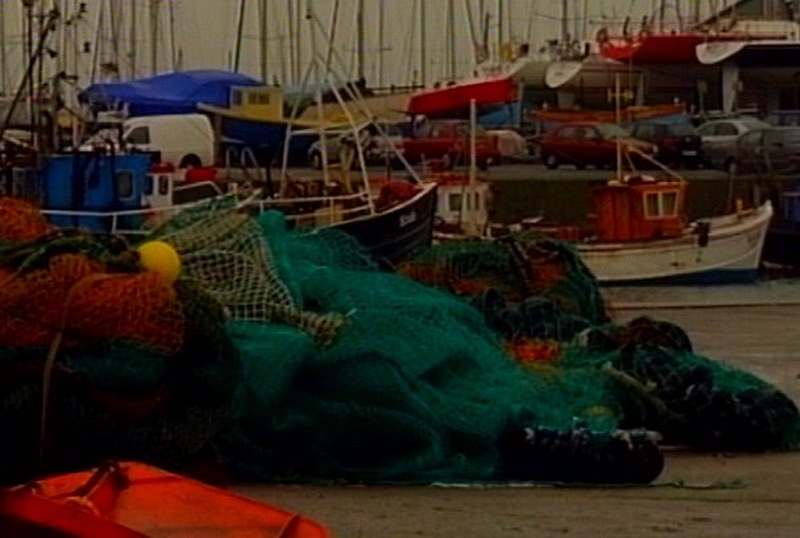 Fishing - Deep-sea catch quotas