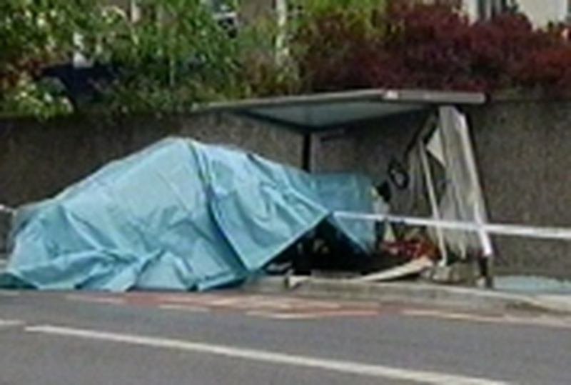 Dublin crash - Woman dies in hospital