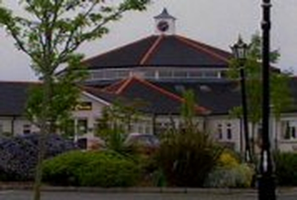 Leas Cross nursing home - Hynes blames authorities
