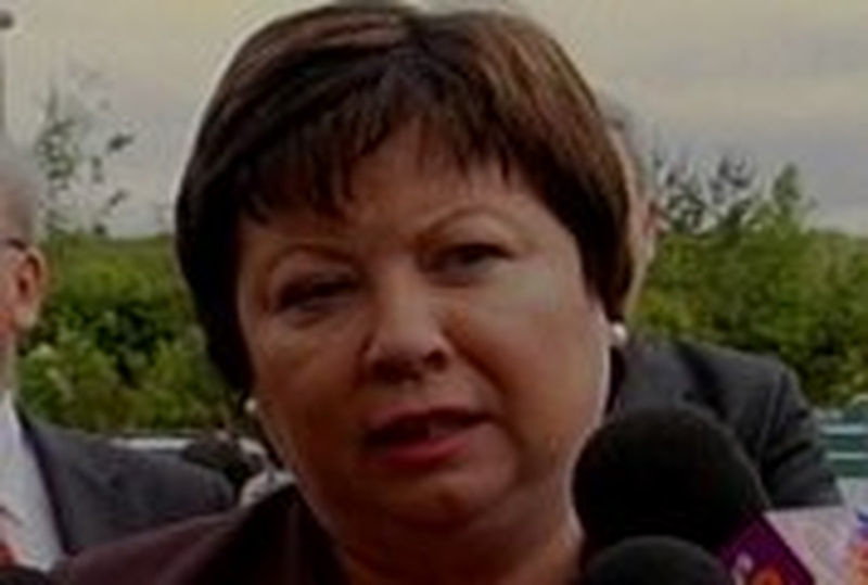 Mary Harney - No single approach to deal with suicide