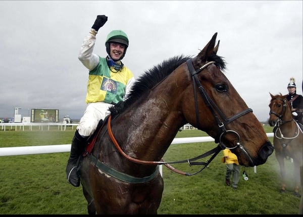 Hedgehunter Aintree road begins at Fairyhouse