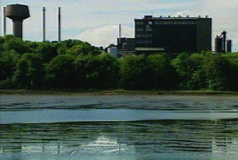 Cork Harbour - Row over leak at Ringaskiddy plant