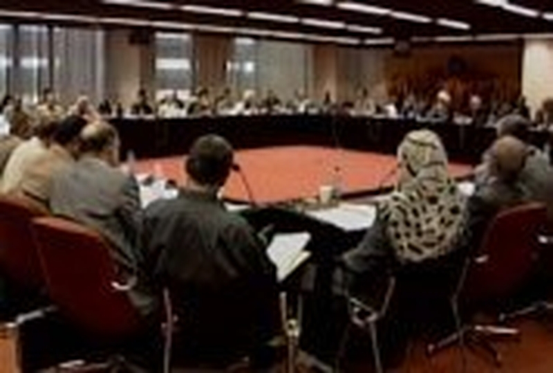 Iraq - Debate begins on constitution