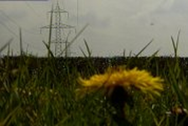 Electricity - Link to boost supply