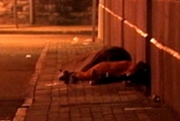 Homeless - Hostel conditions highlighted