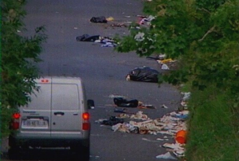 Litter - Study of Dublin litter levels