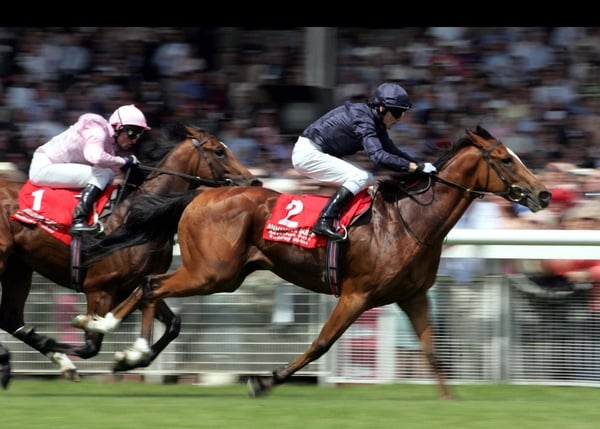 Aidan O'Brien saddles George Washington in the Breeders' Cup Classic on Saturday