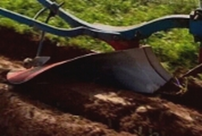 Ploughing Championships - 150,000 expected