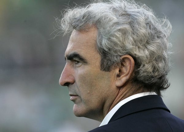 French manger Raymond Domenech has sympathised with Zinedine Zidane