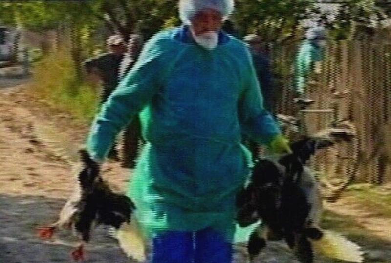 Bird flu - Outbreak in southern Russia