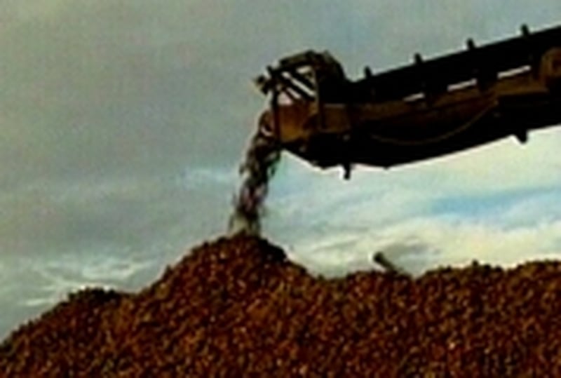 Beet sector - Fear for future