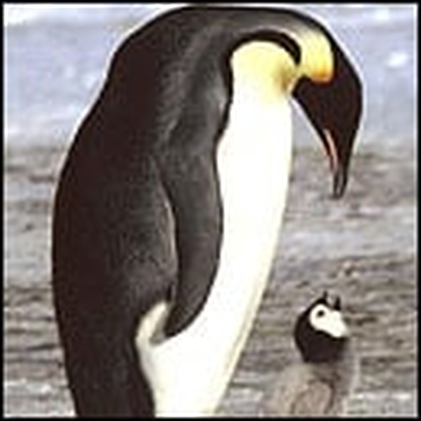 A remarkable documentary