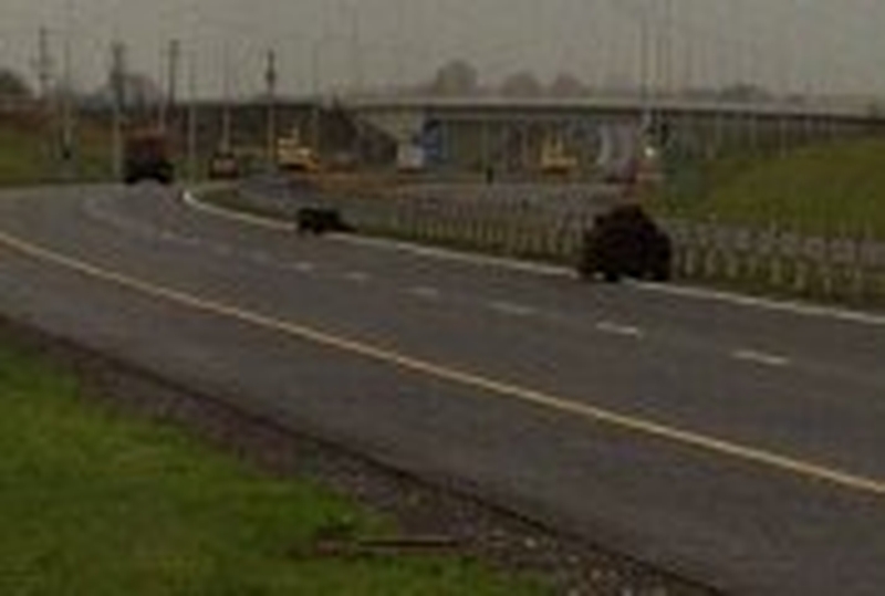 M4/M6 - Motorway will link Dublin with Kinnegad and Mullingar