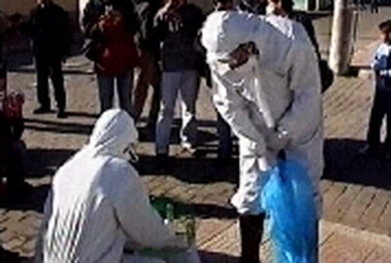 Turkey - 15 confirmed bird flu cases