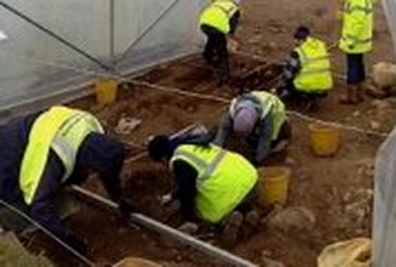 M7 motorway - Archaeologists at the site